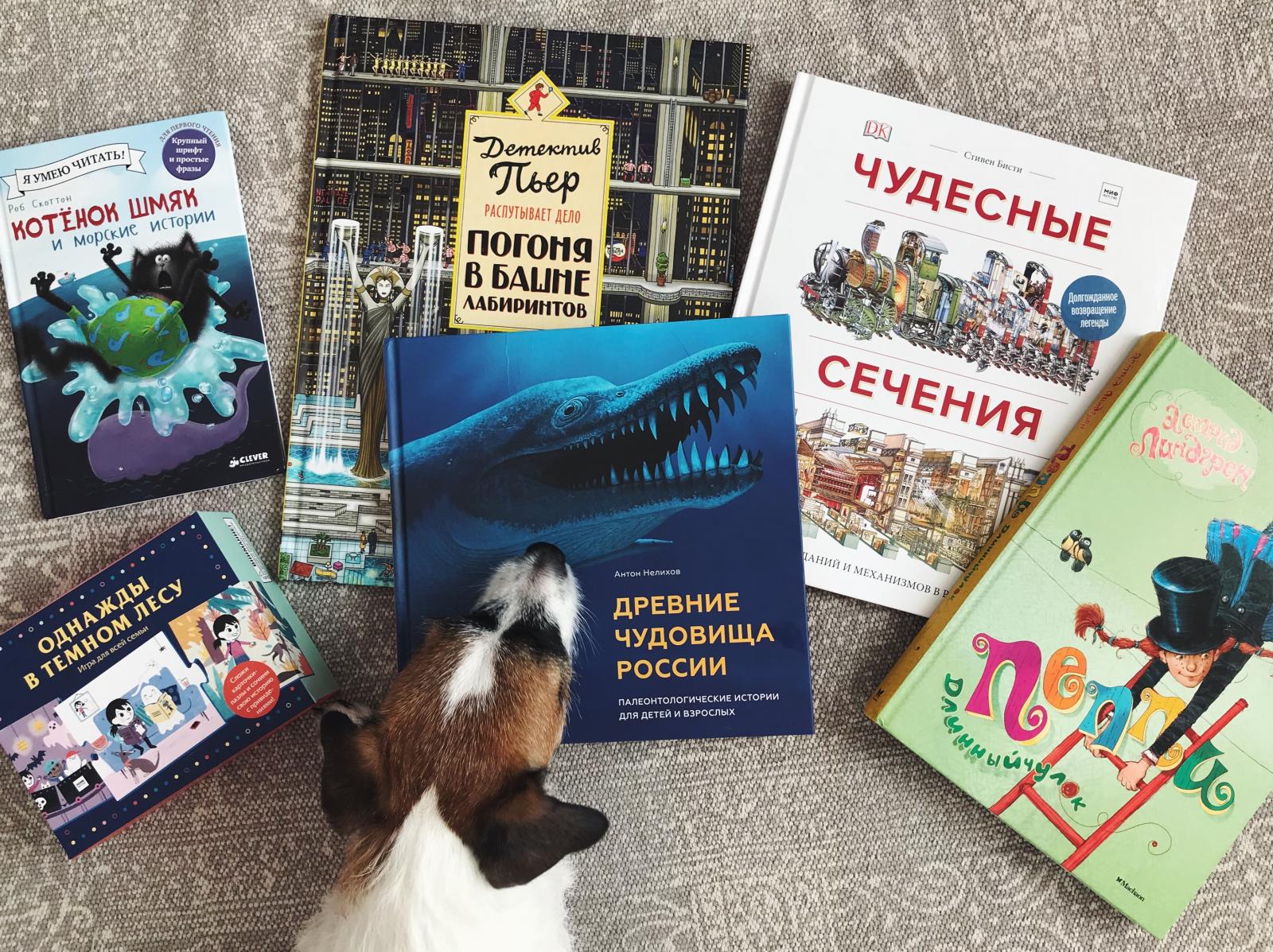 Обзор детских книг. 5-6 лет.